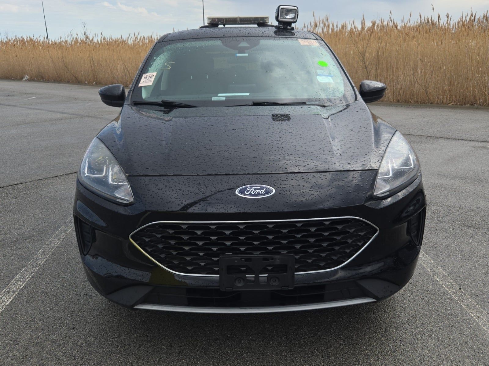 FORD ESCAPE - 8