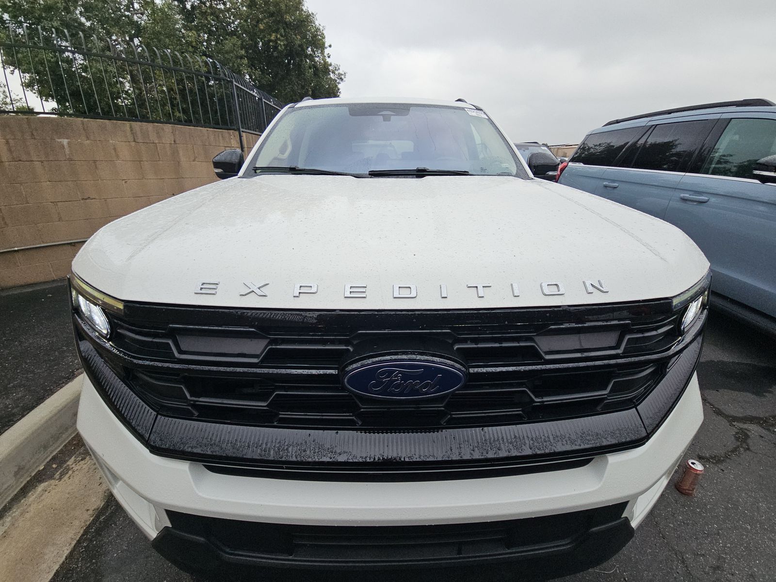 FORD EXPEDITION MAX - 3