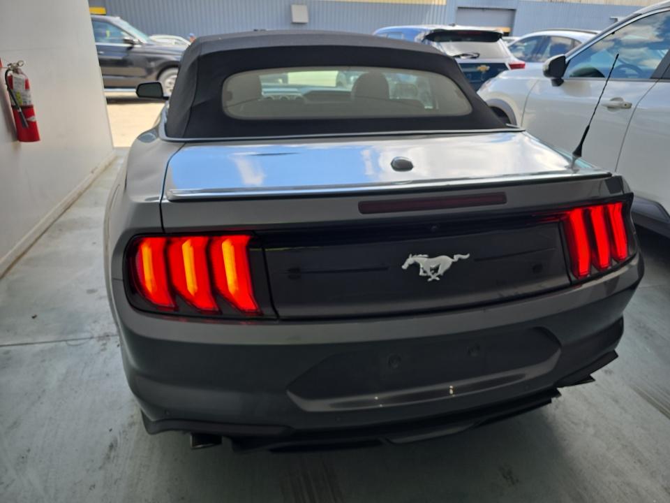 FORD MUSTANG - 6