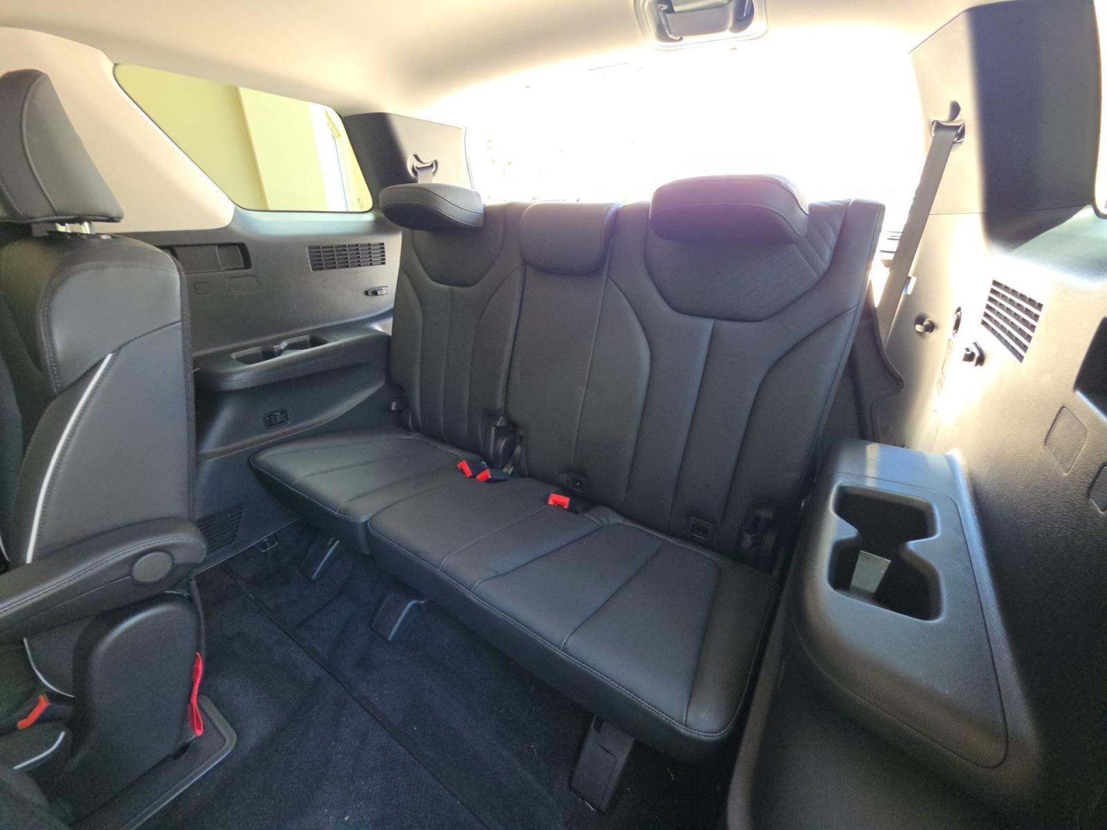 HYUNDAI PALISADE - 9