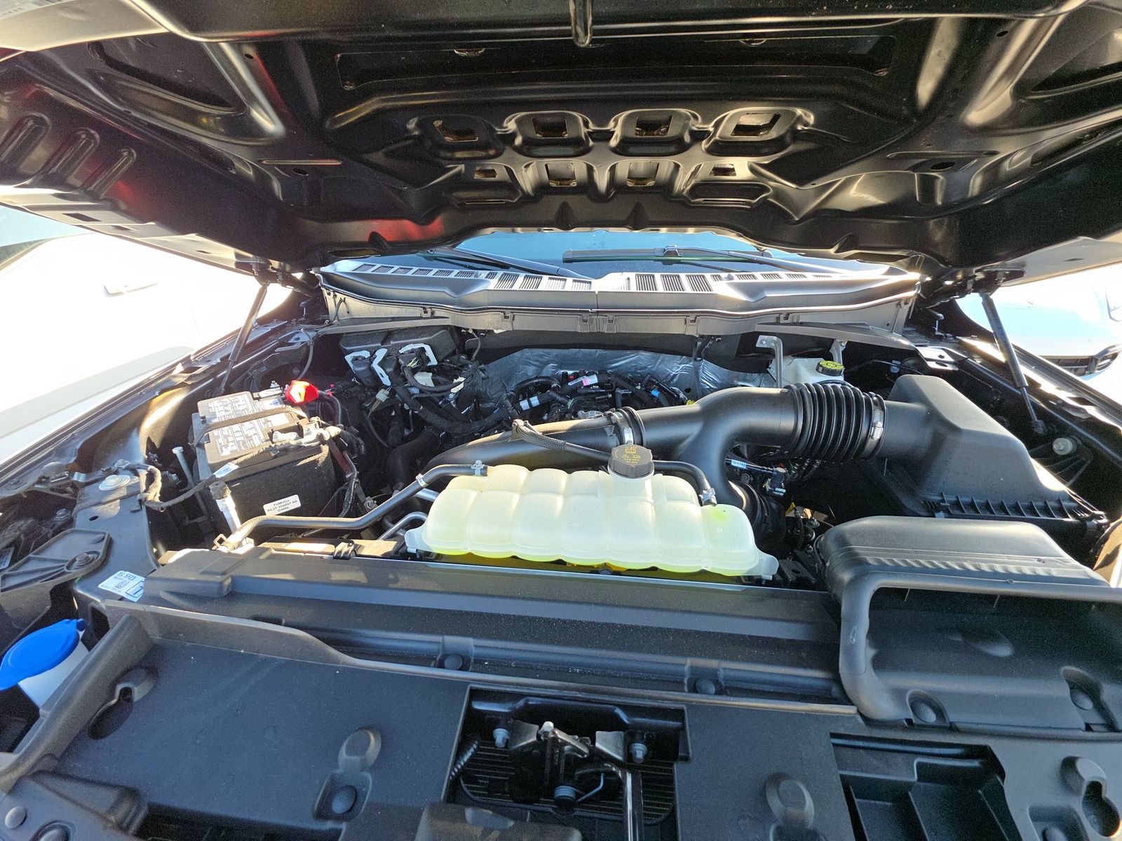 2025 Ford F-150 STX FWD