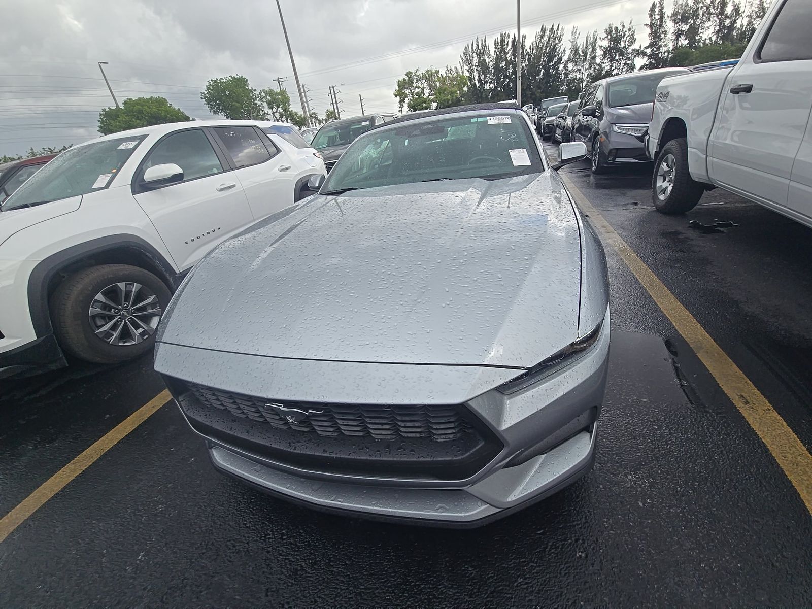 FORD MUSTANG - 3