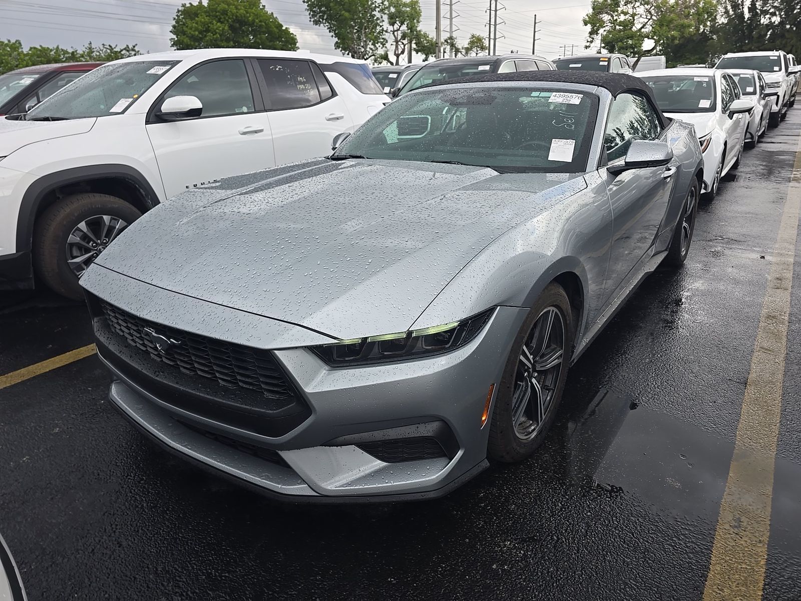 FORD MUSTANG - 1