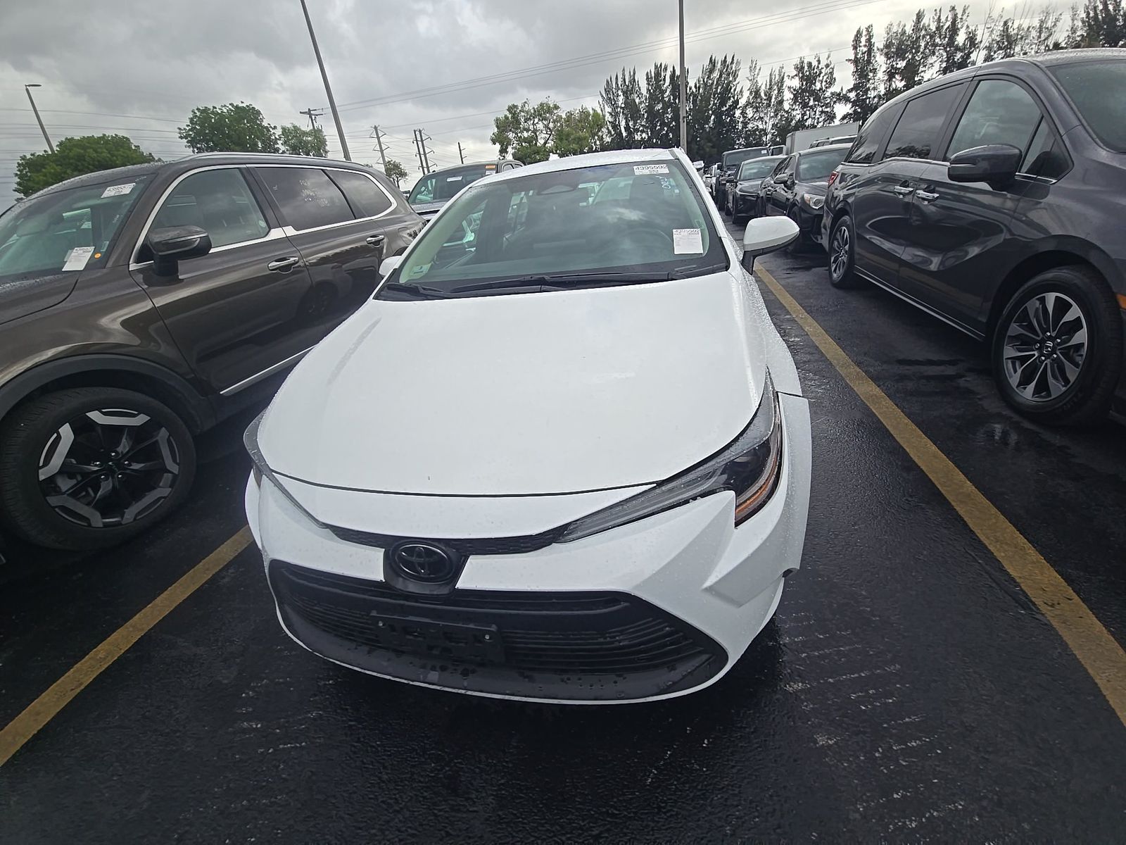 TOYOTA COROLLA - 3