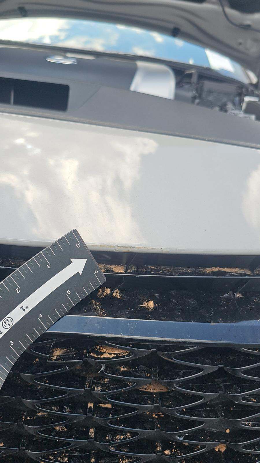2026 Lexus IS IS 350 F SPORT RWD