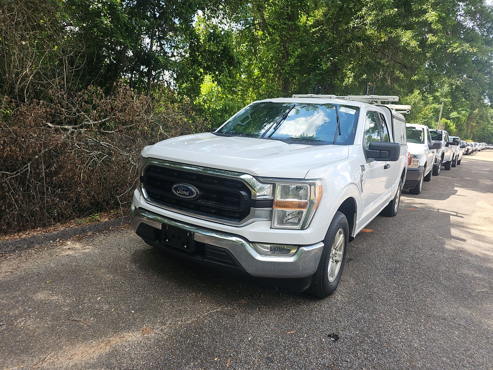 FORD F-150 - 1