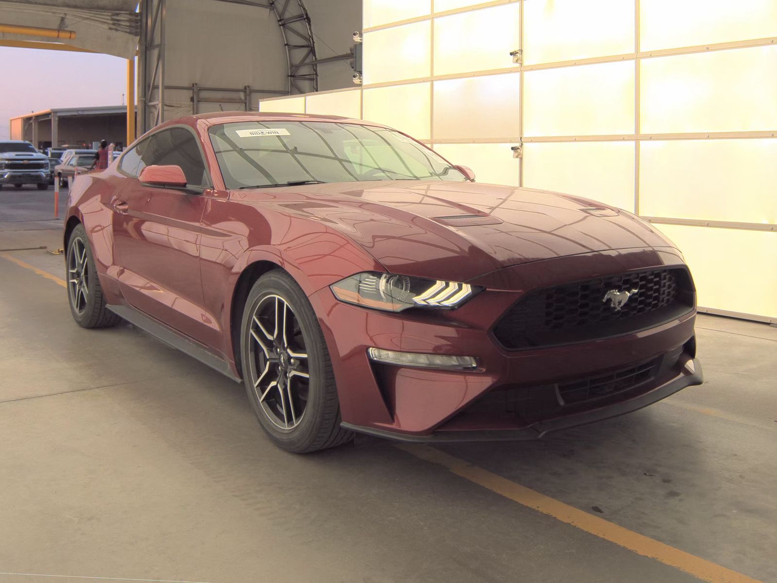 FORD MUSTANG - 5