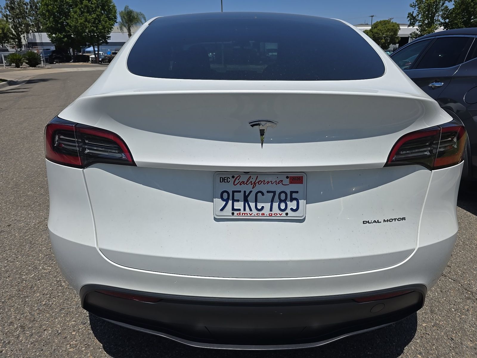 TESLA MODEL Y - 6