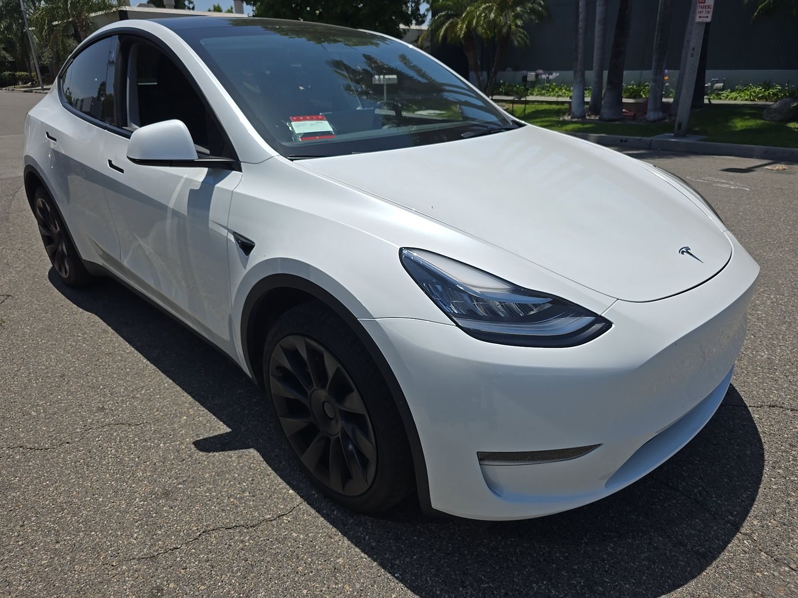 TESLA MODEL Y - 4
