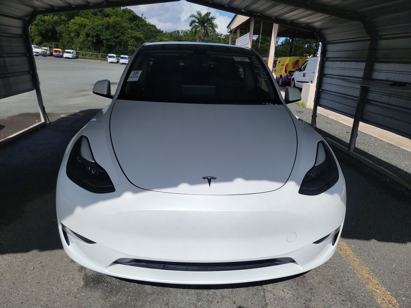TESLA MODEL Y - 3