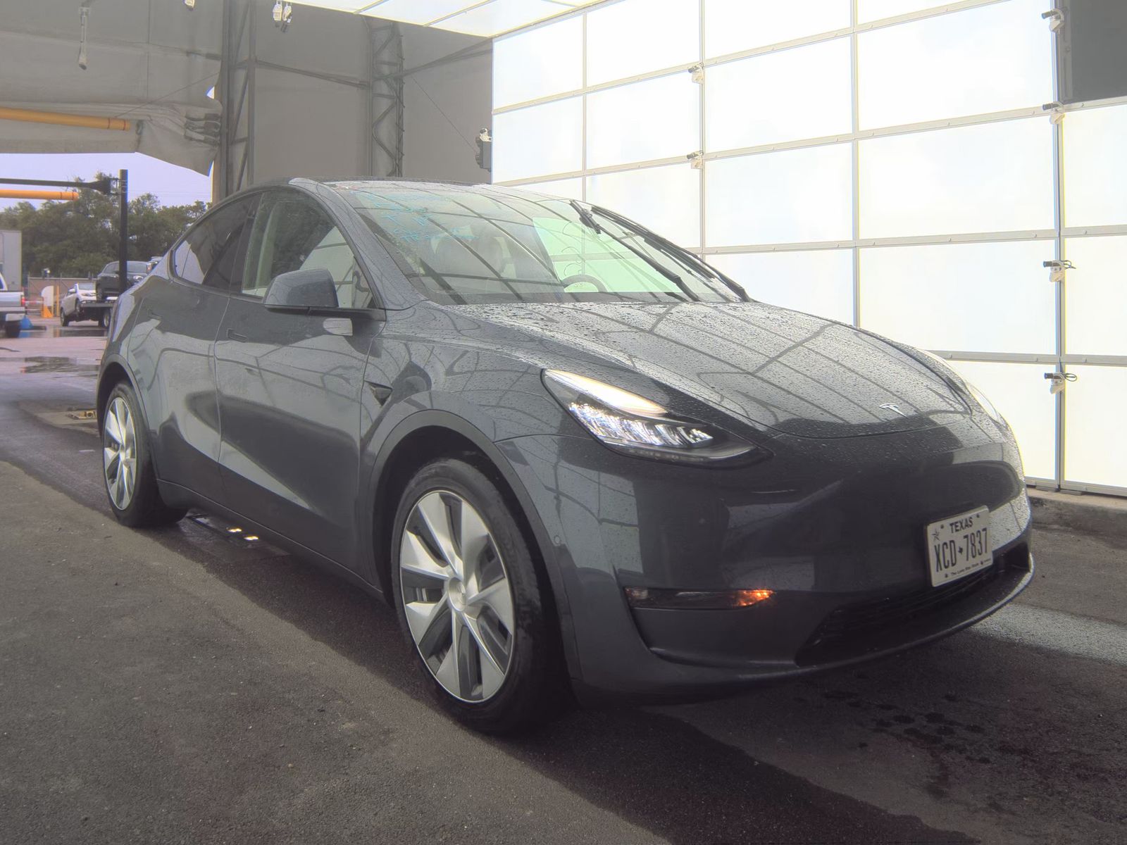 TESLA MODEL Y - 5