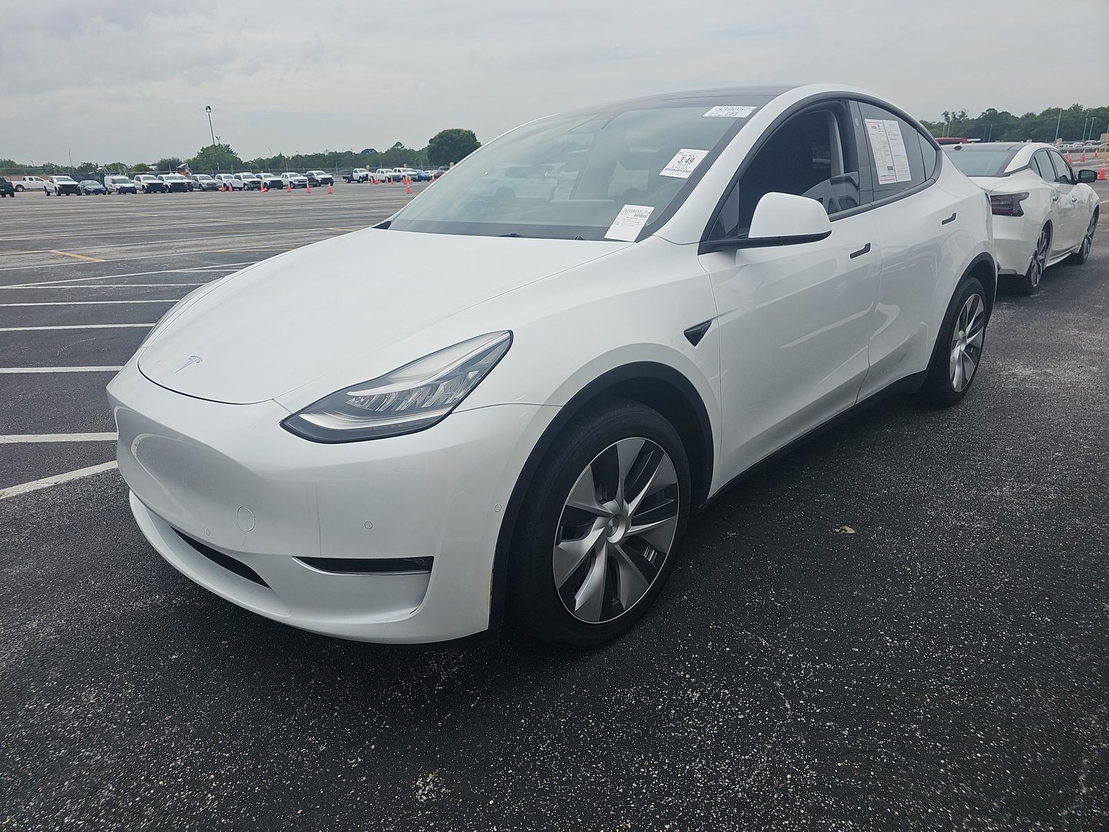 TESLA MODEL Y - 1