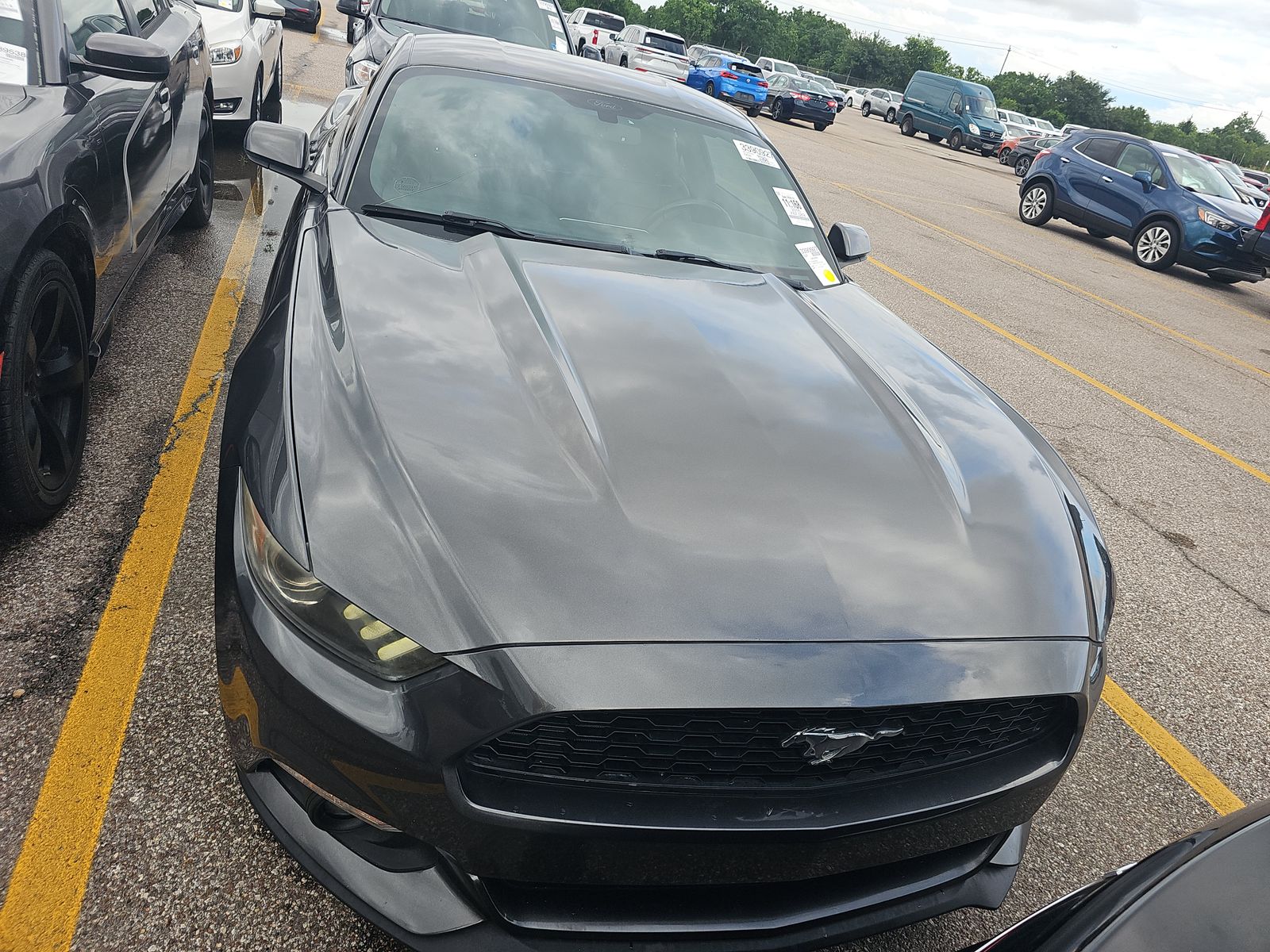 FORD MUSTANG - 3
