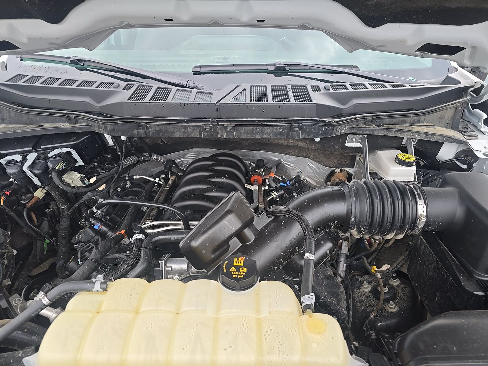 2025 Ford F-150 XLT AWD
