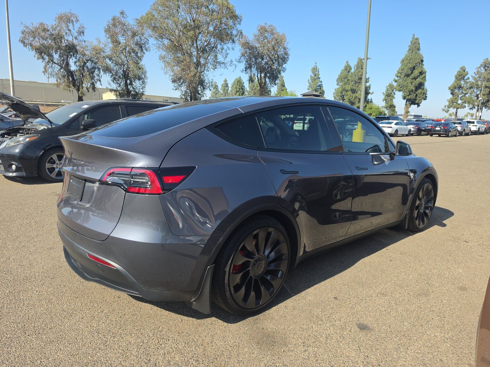 TESLA MODEL Y - 5