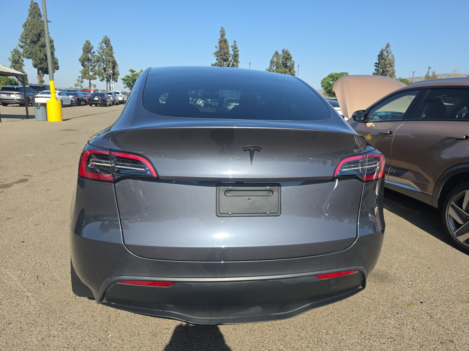 TESLA MODEL Y - 6