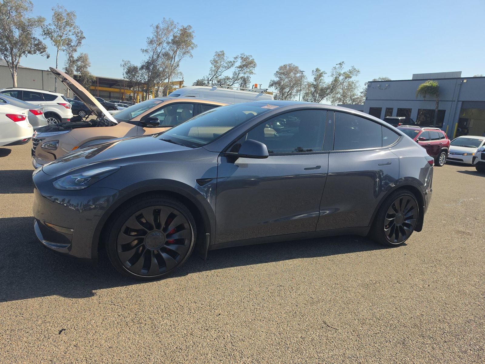 TESLA MODEL Y - 1