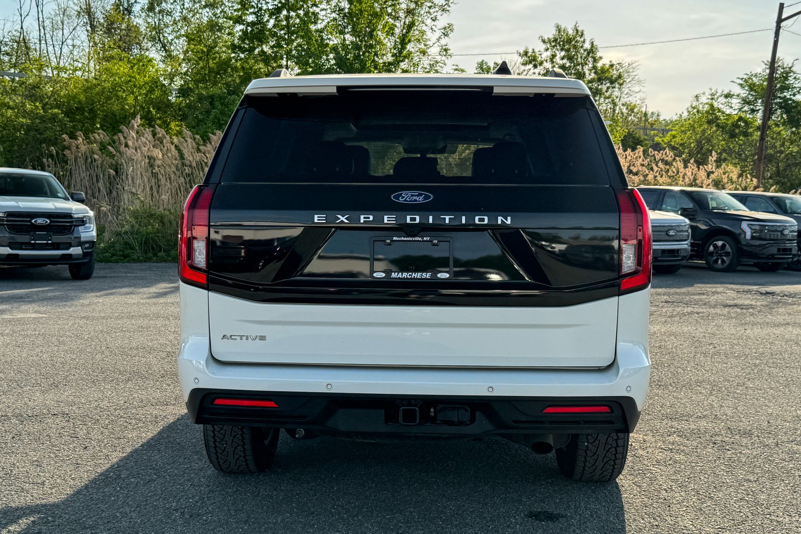 FORD EXPEDITION - 5