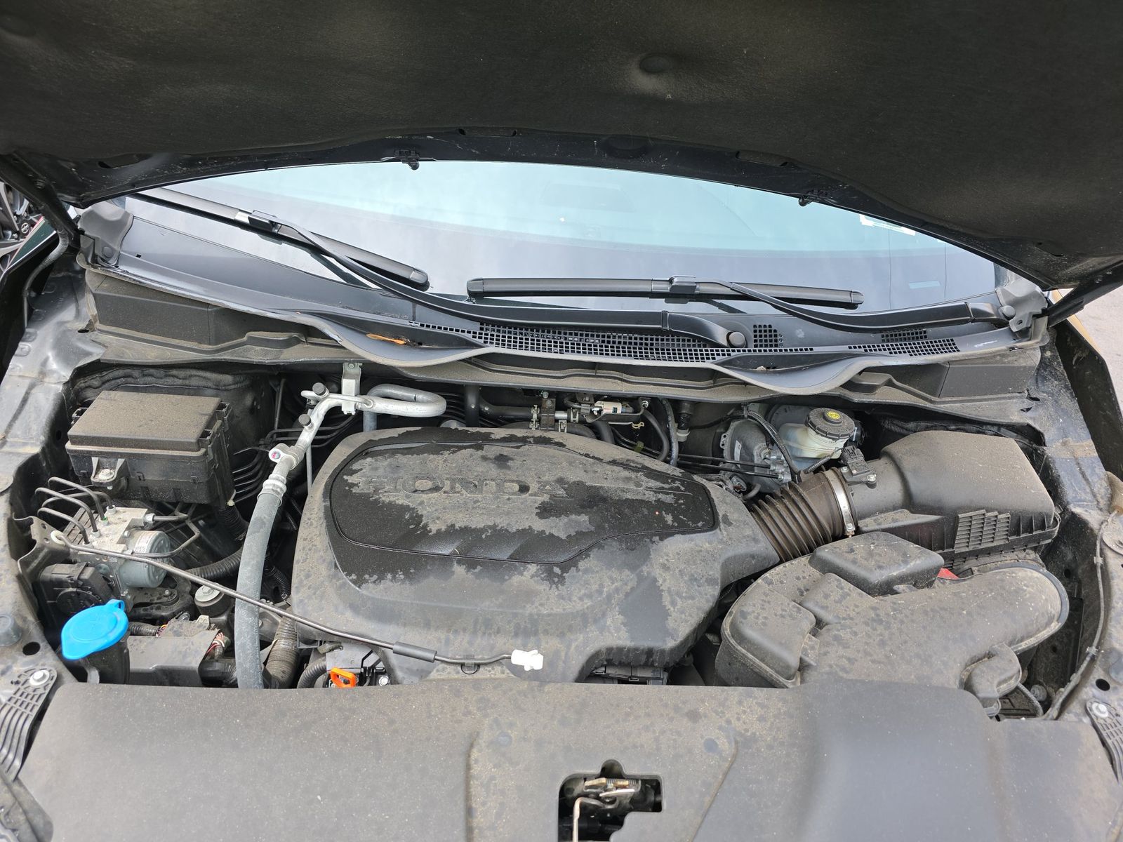 2023 Honda Odyssey Sport FWD