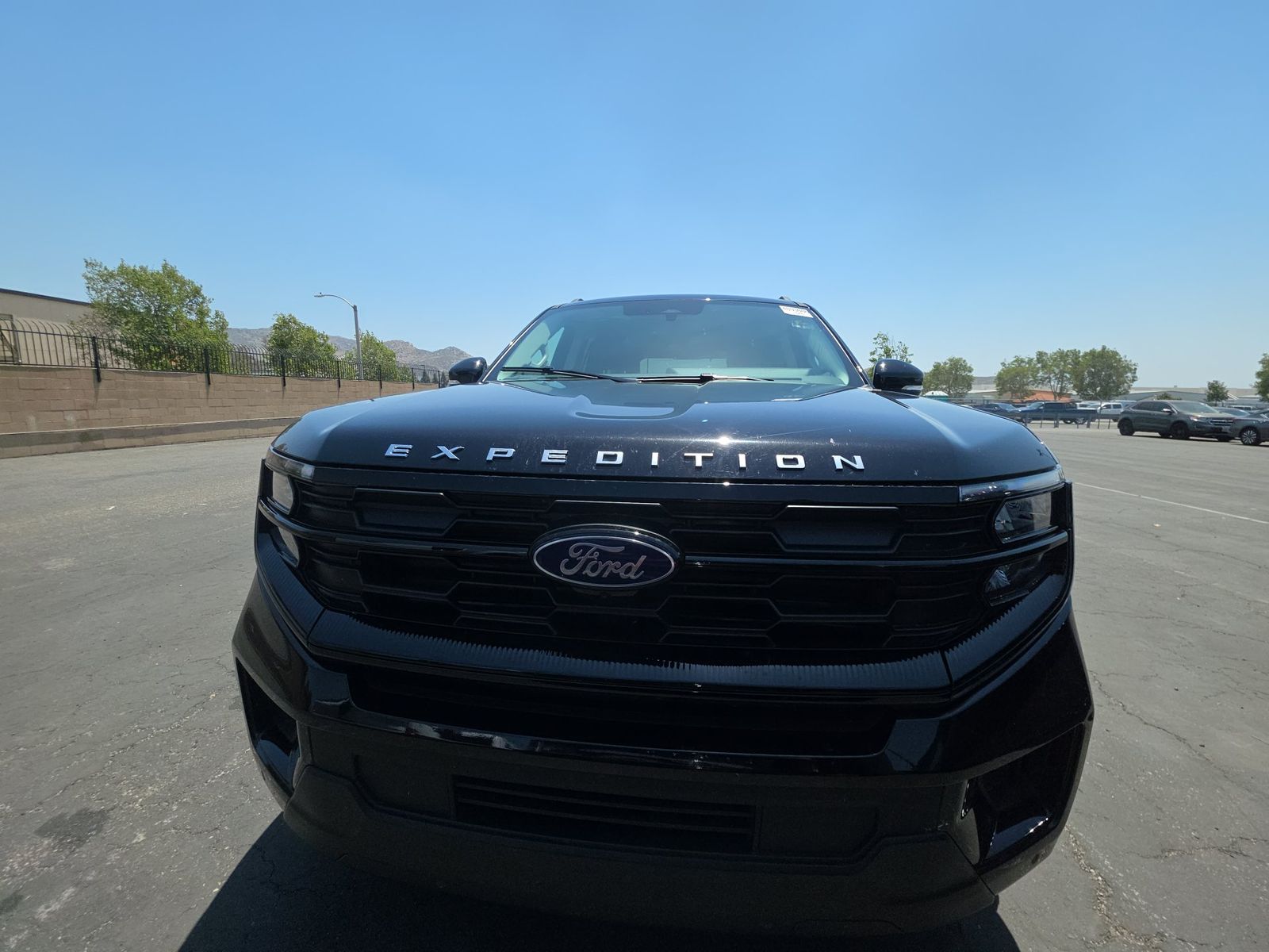 FORD EXPEDITION - 3