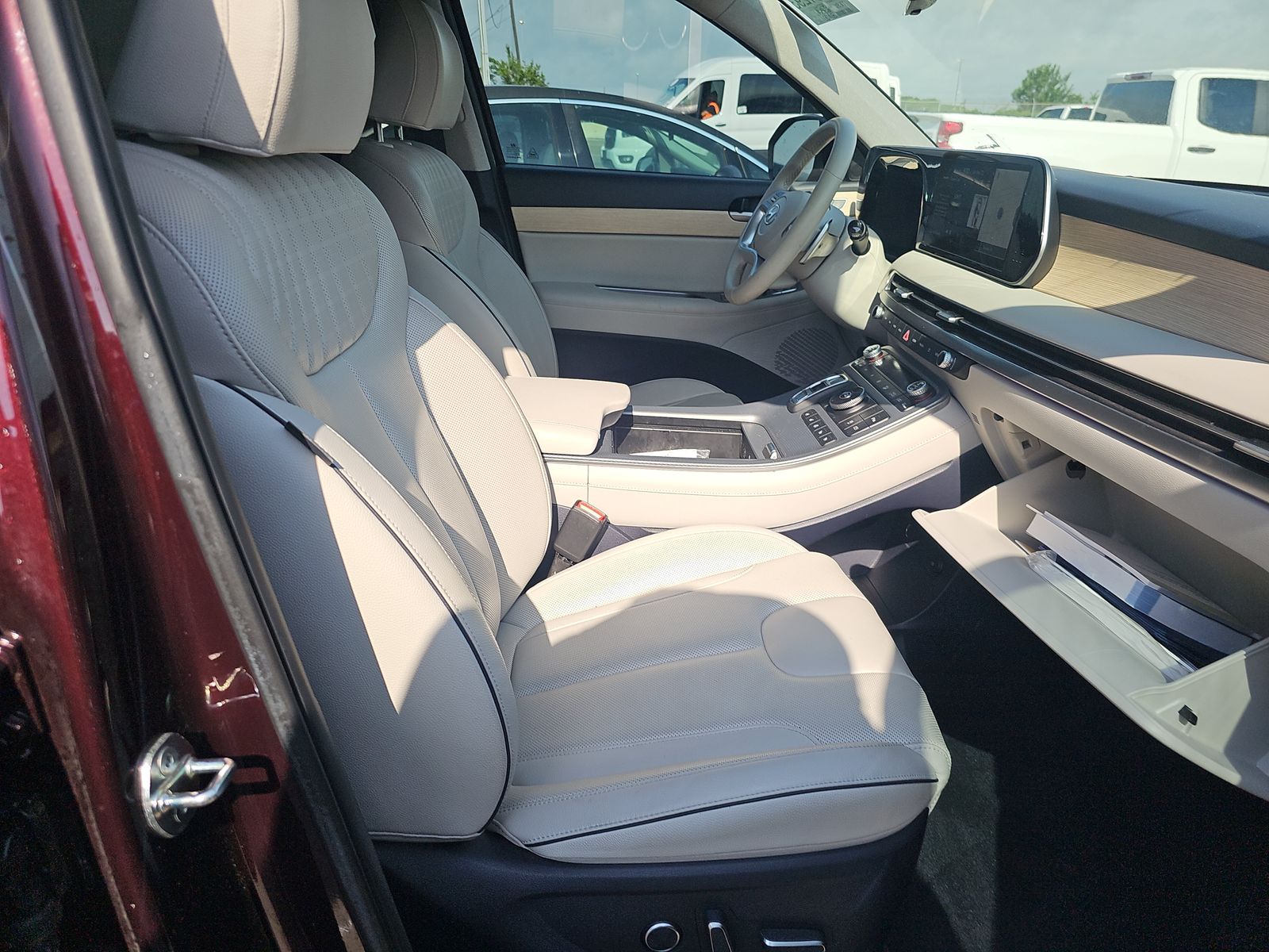 HYUNDAI PALISADE - 9