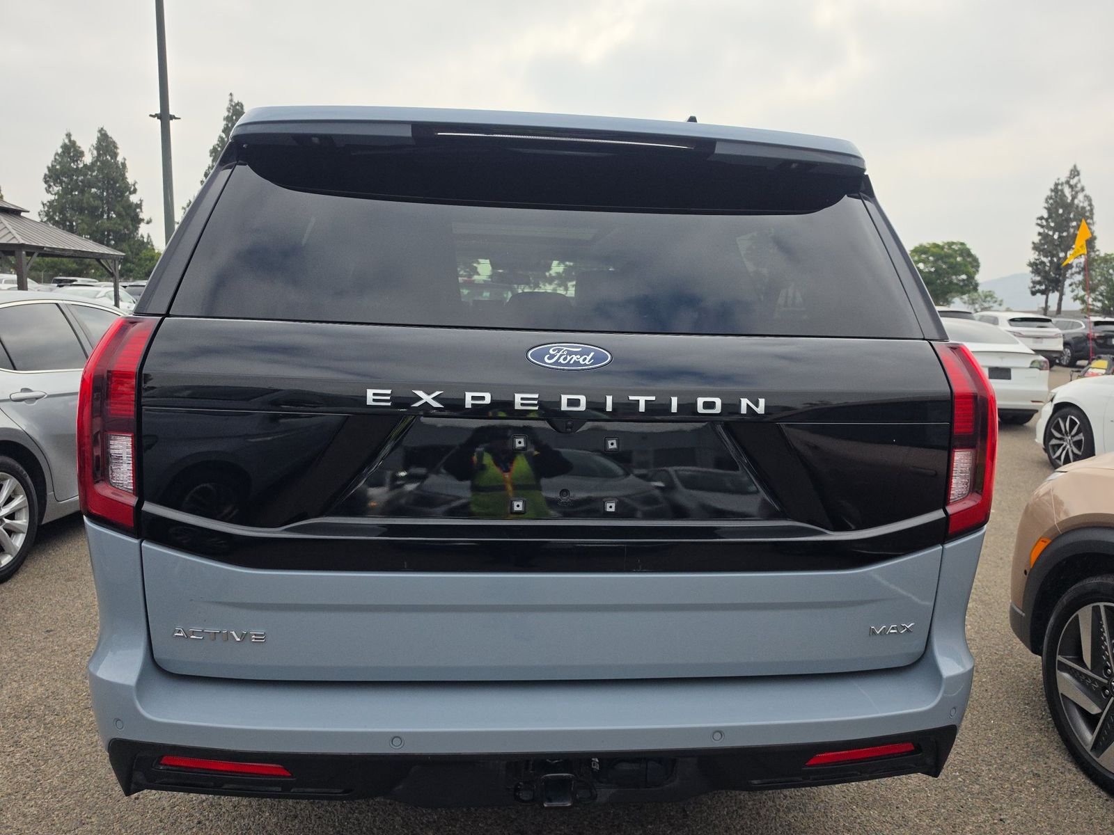 FORD EXPEDITION MAX - 6