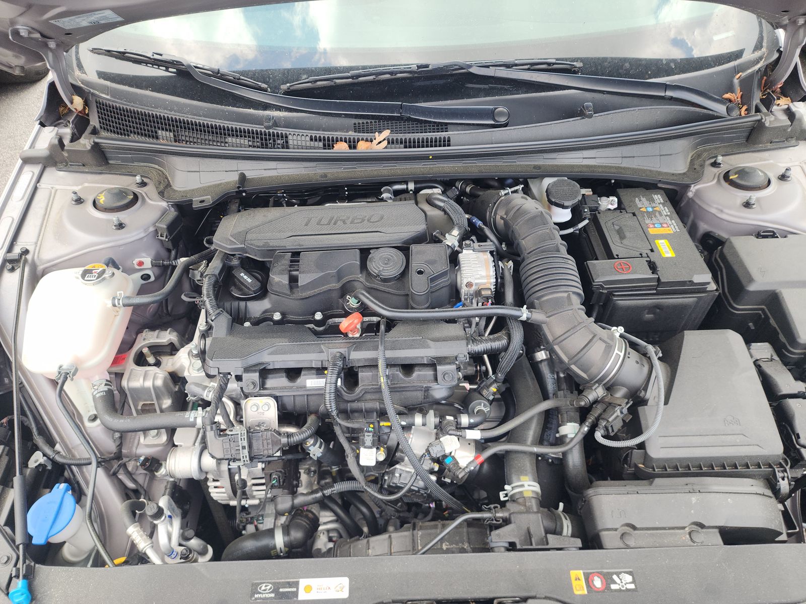 2023 Hyundai Elantra N Line FWD