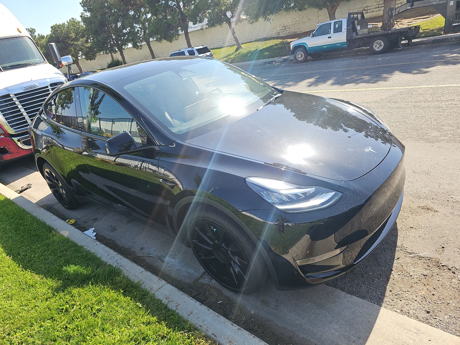 TESLA MODEL Y - 4