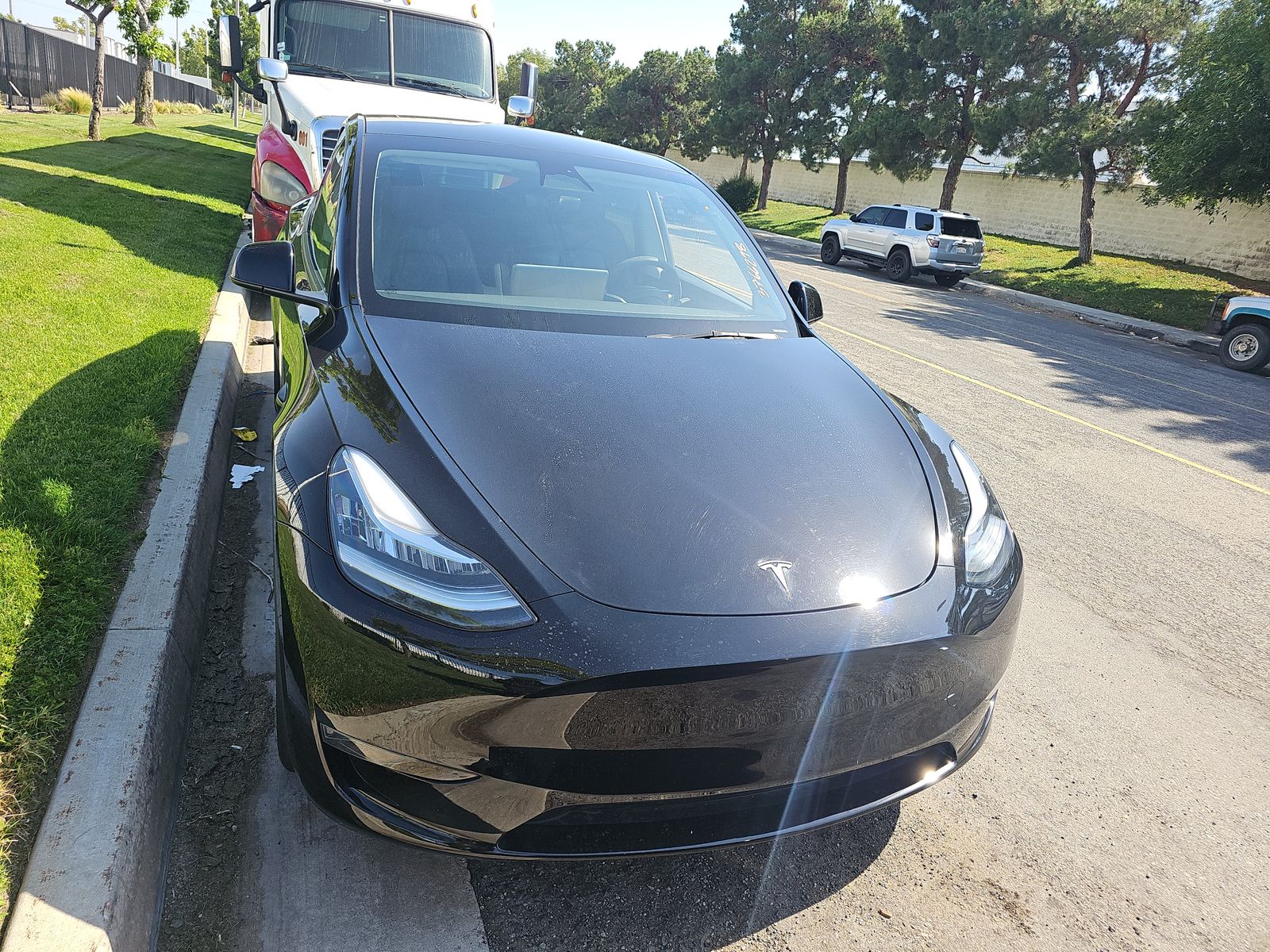 TESLA MODEL Y - 3