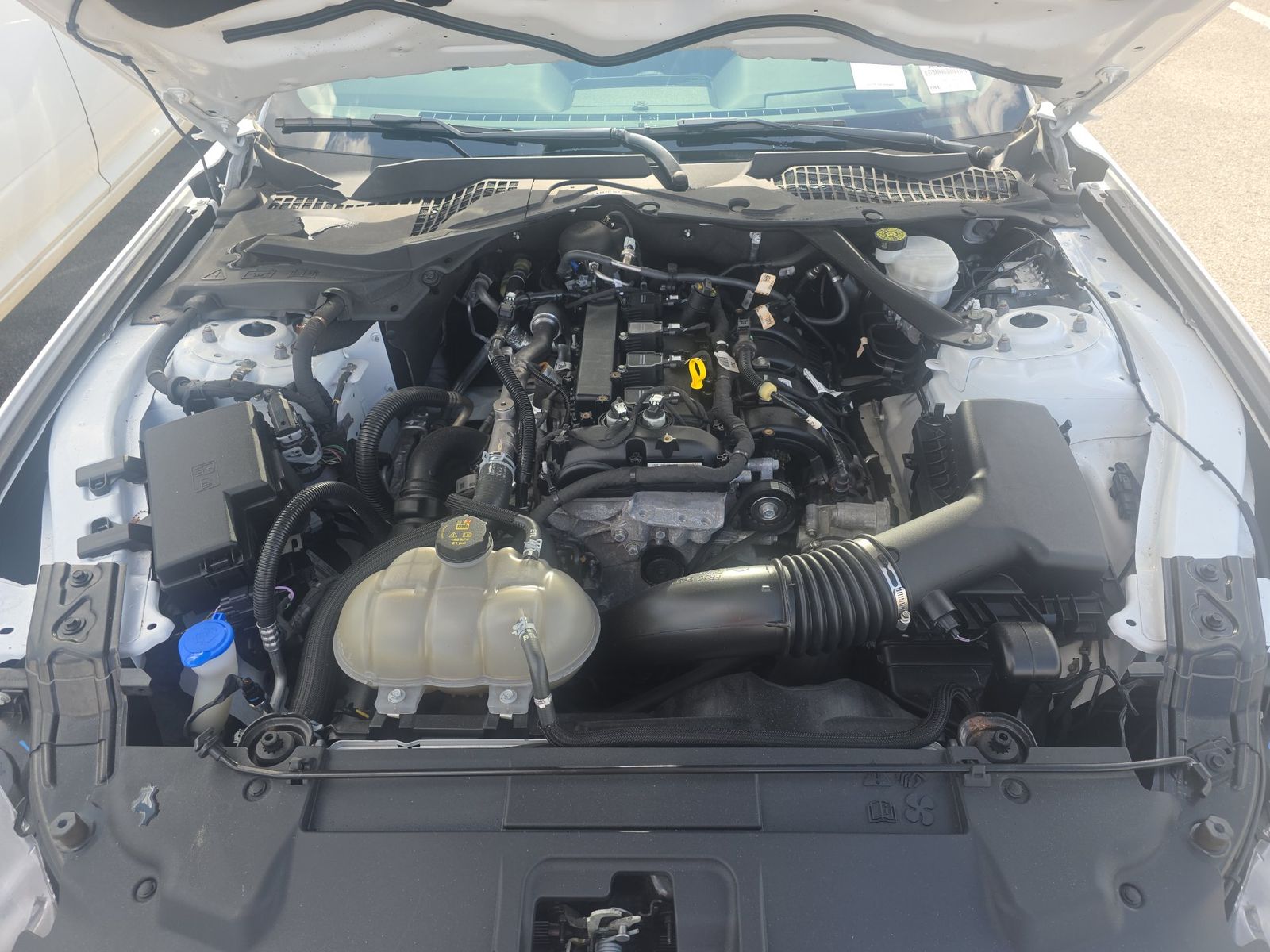 2023 Ford Mustang EcoBoost Premium RWD