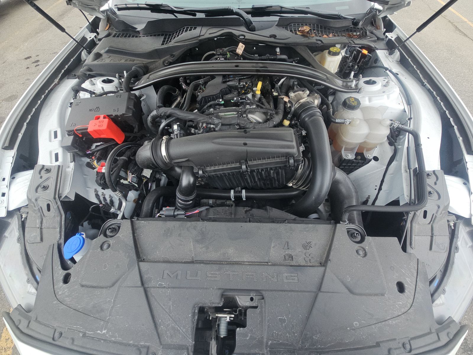 2025 Ford Mustang EcoBoost Premium RWD
