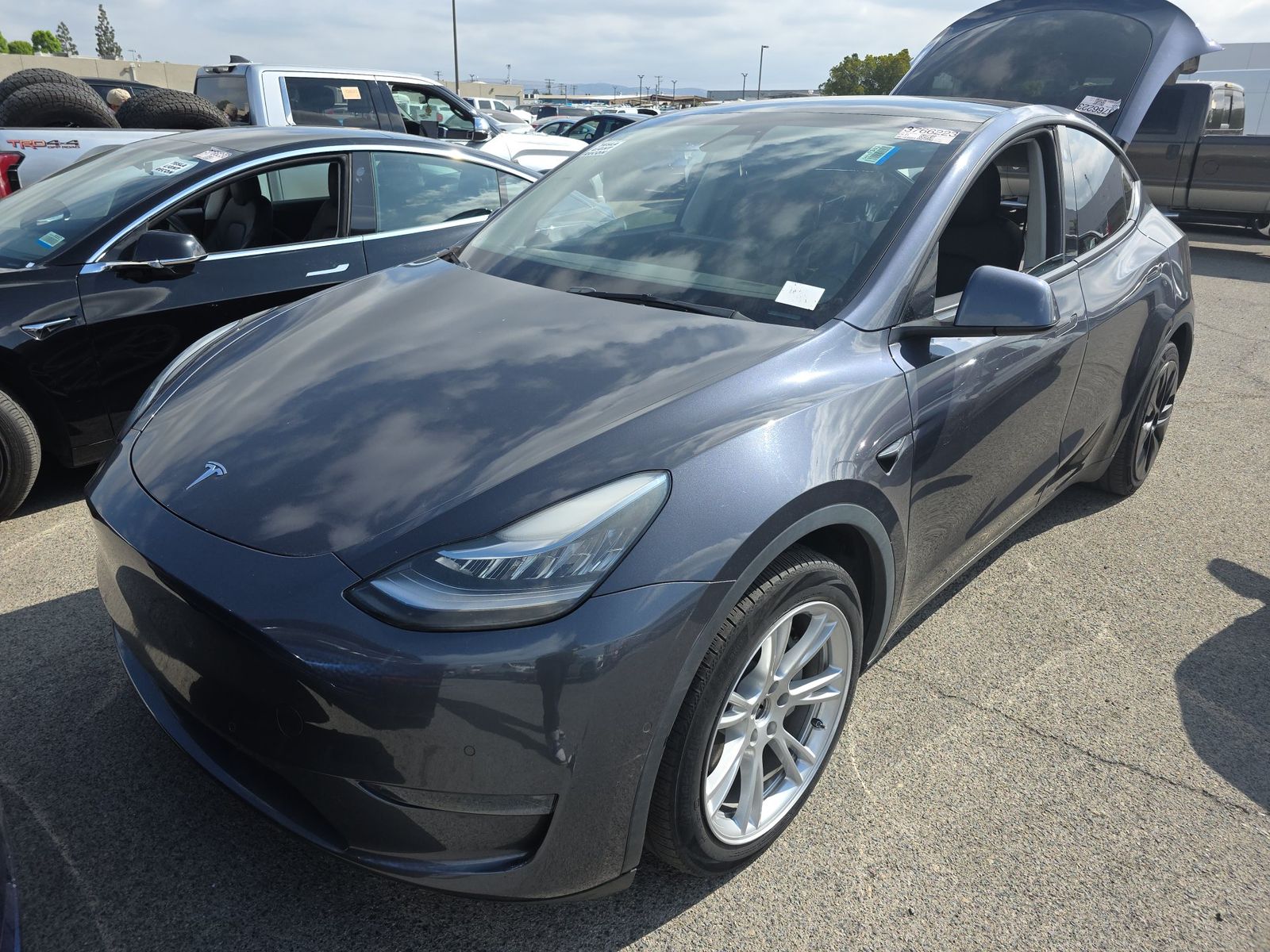 TESLA MODEL Y - 1