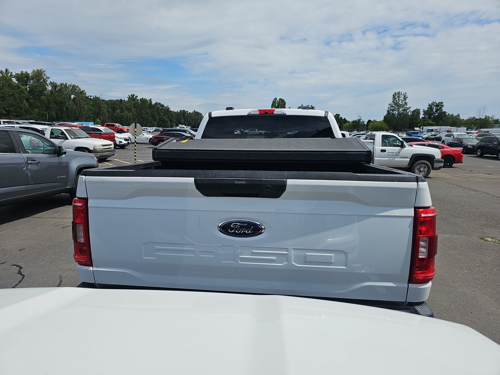 FORD F-150 - 6