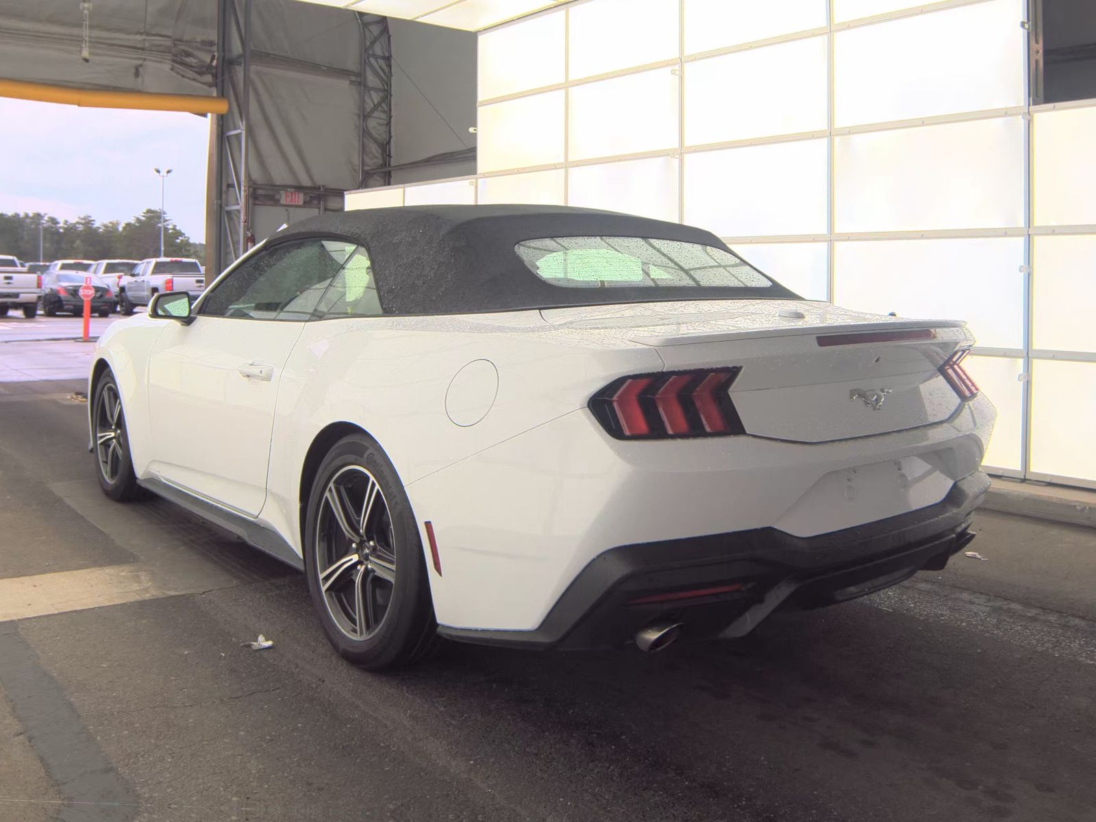 2025 Ford Mustang EcoBoost Premium RWD