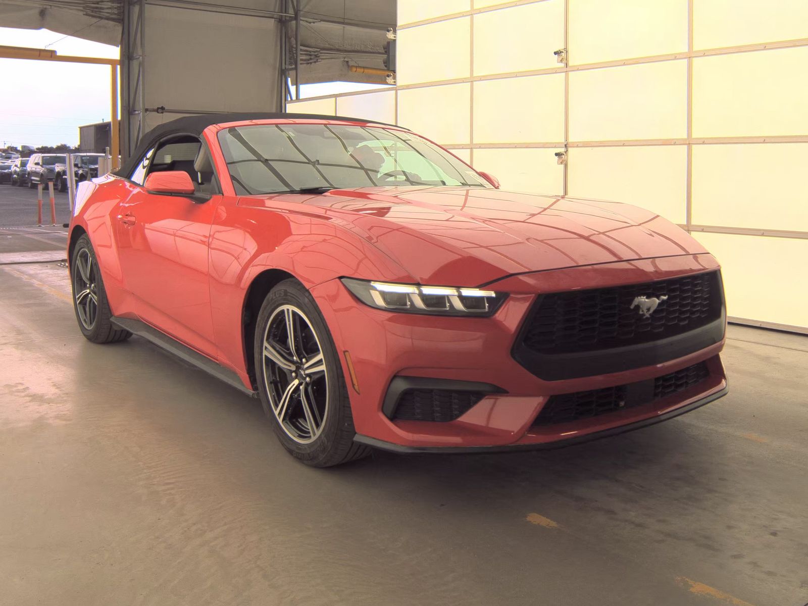 FORD MUSTANG - 5