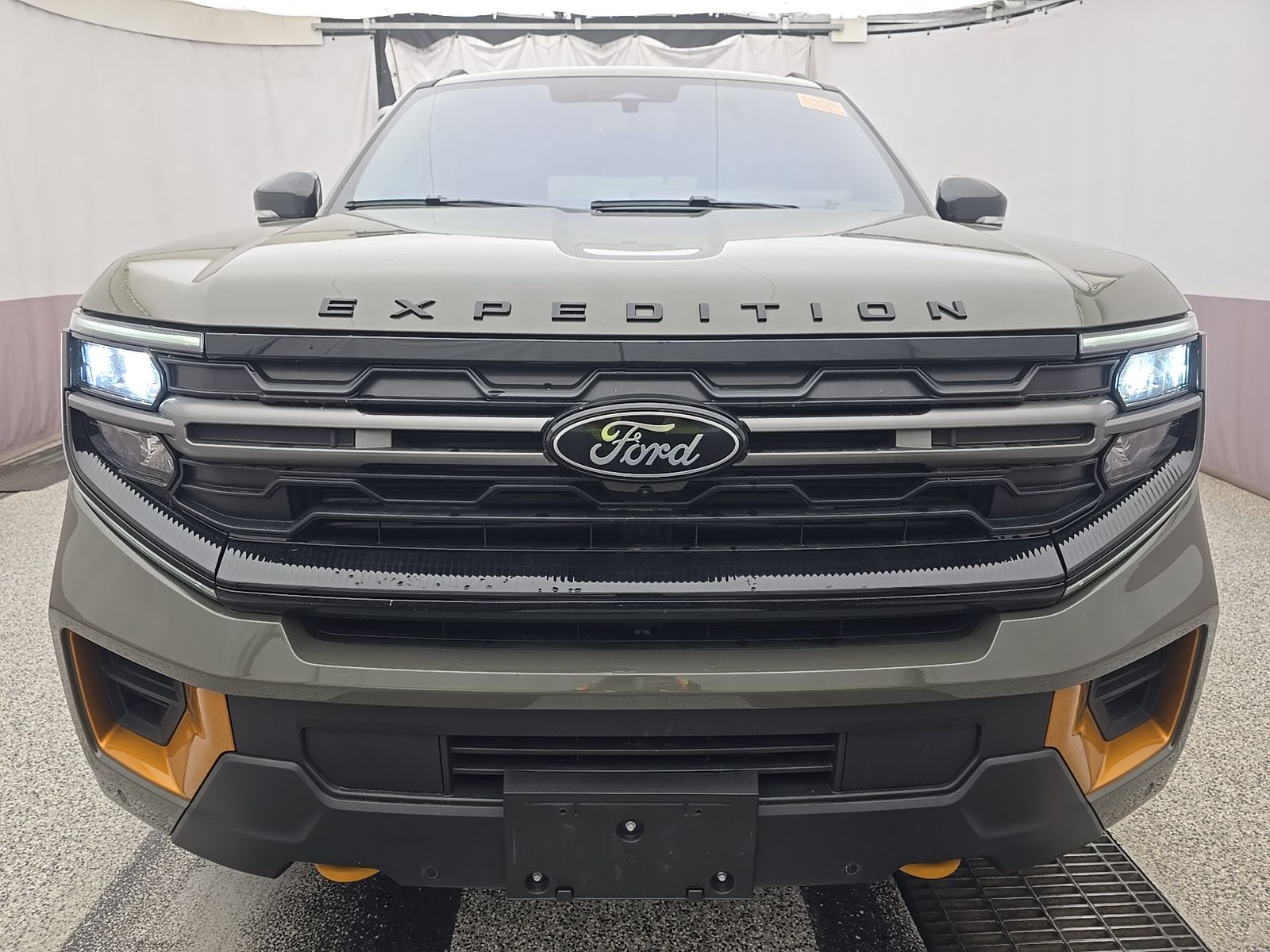 FORD EXPEDITION - 3