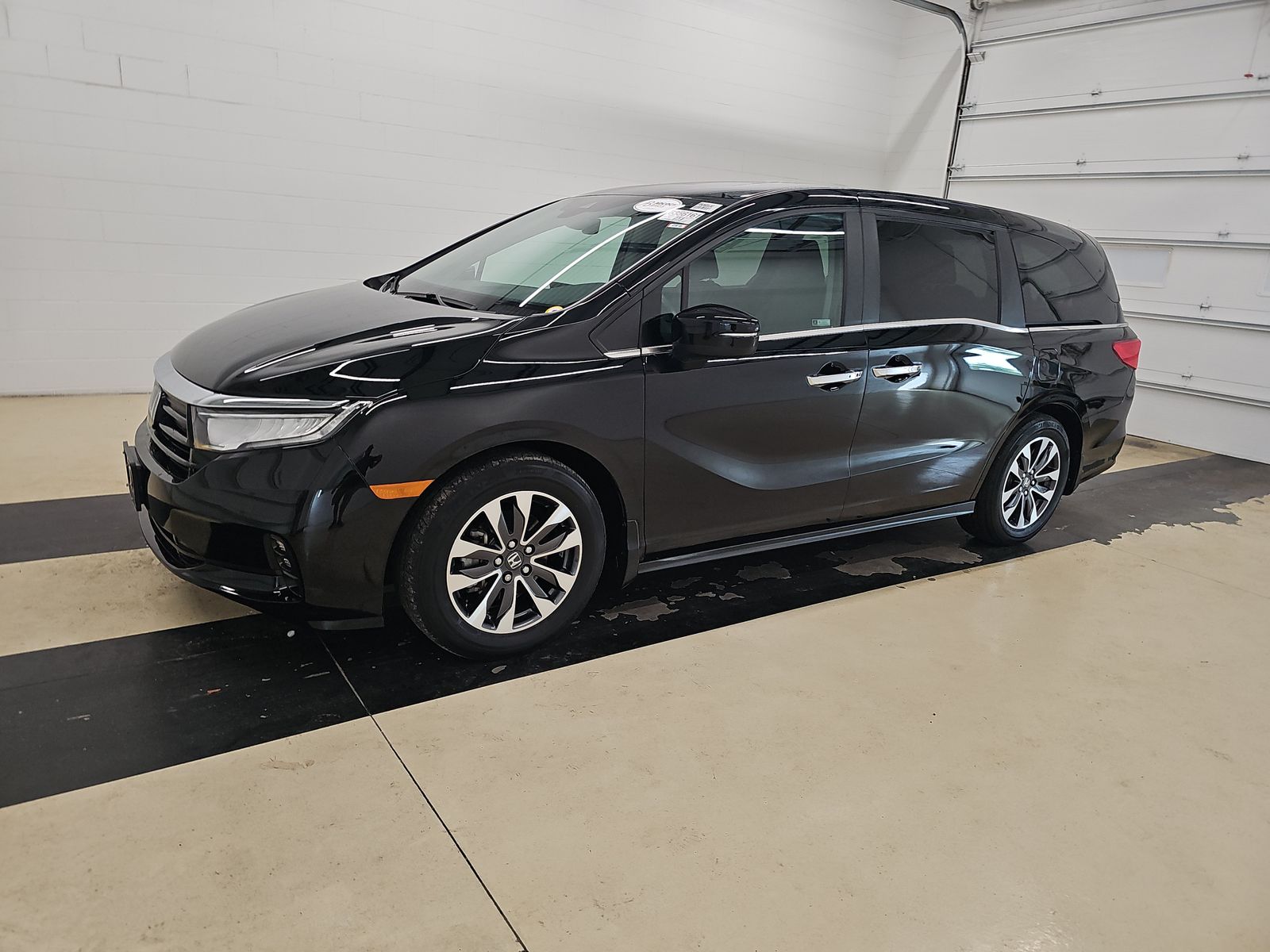 2023 Honda Odyssey EX-L's photo
