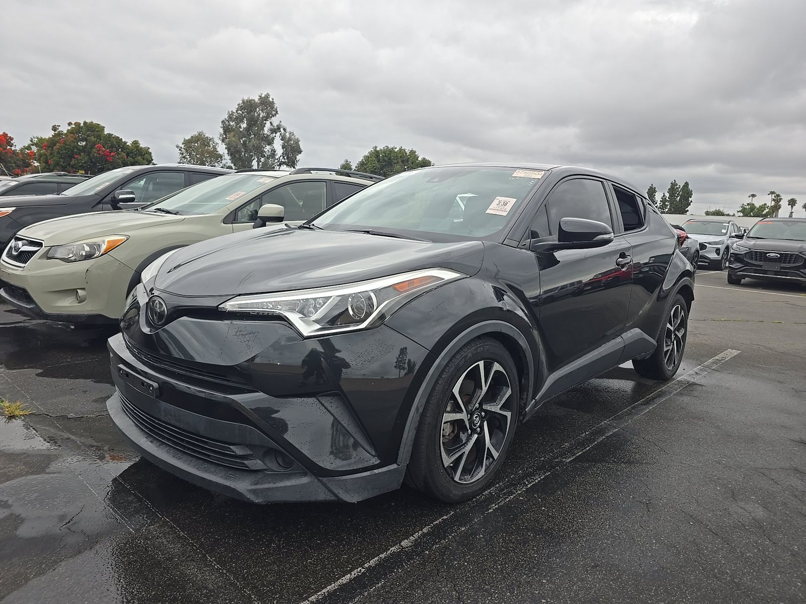 2019 Toyota C-HR XLE FWD