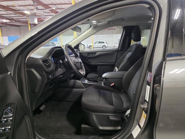 FORD ESCAPE - 7