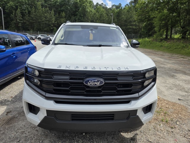 FORD EXPEDITION - 10