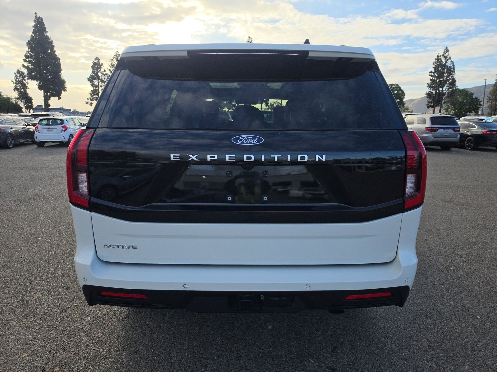FORD EXPEDITION - 6