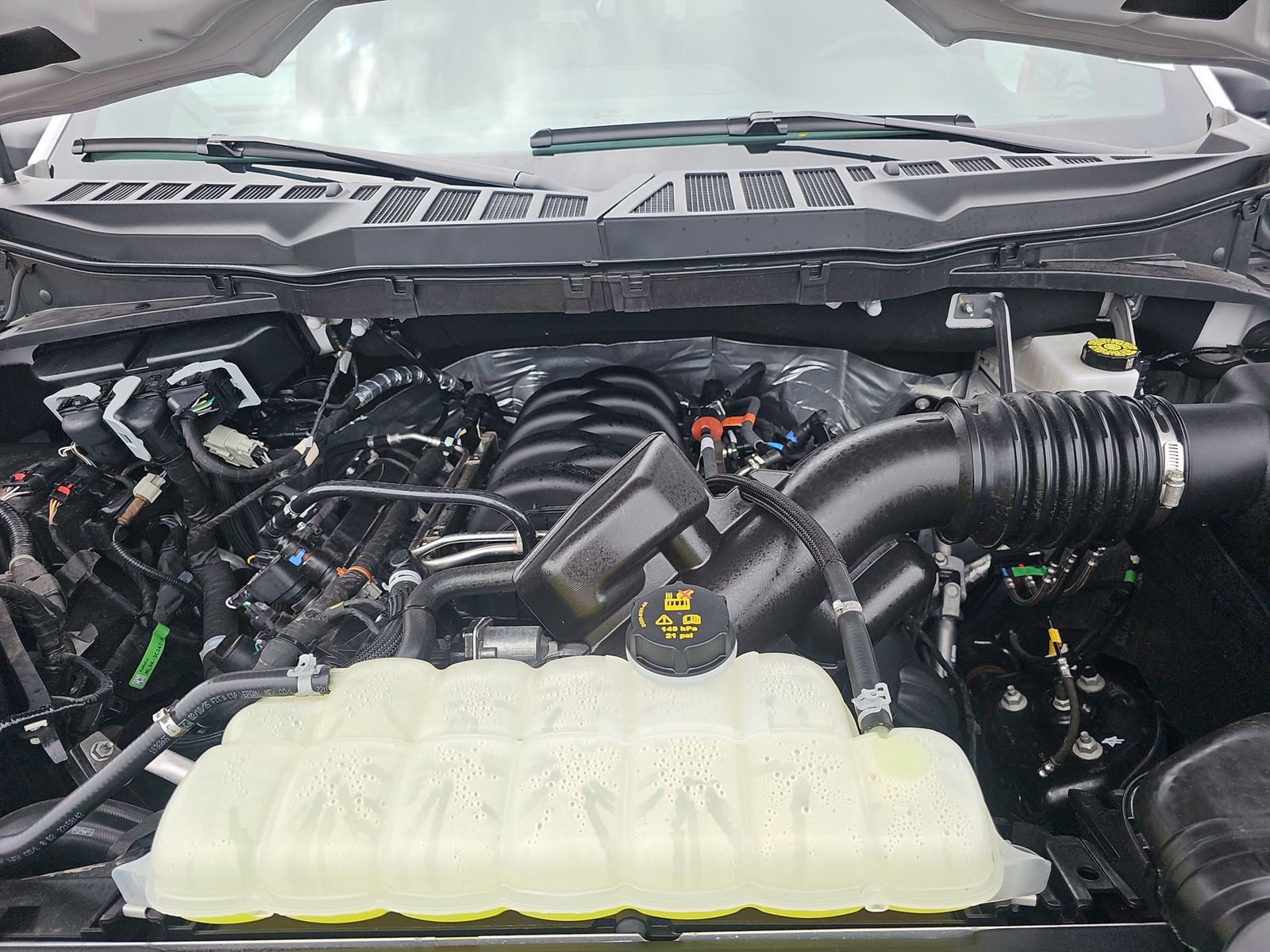 2025 Ford F-150 XLT AWD