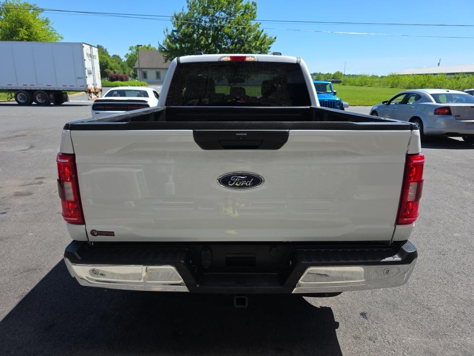 FORD F-150 - 6