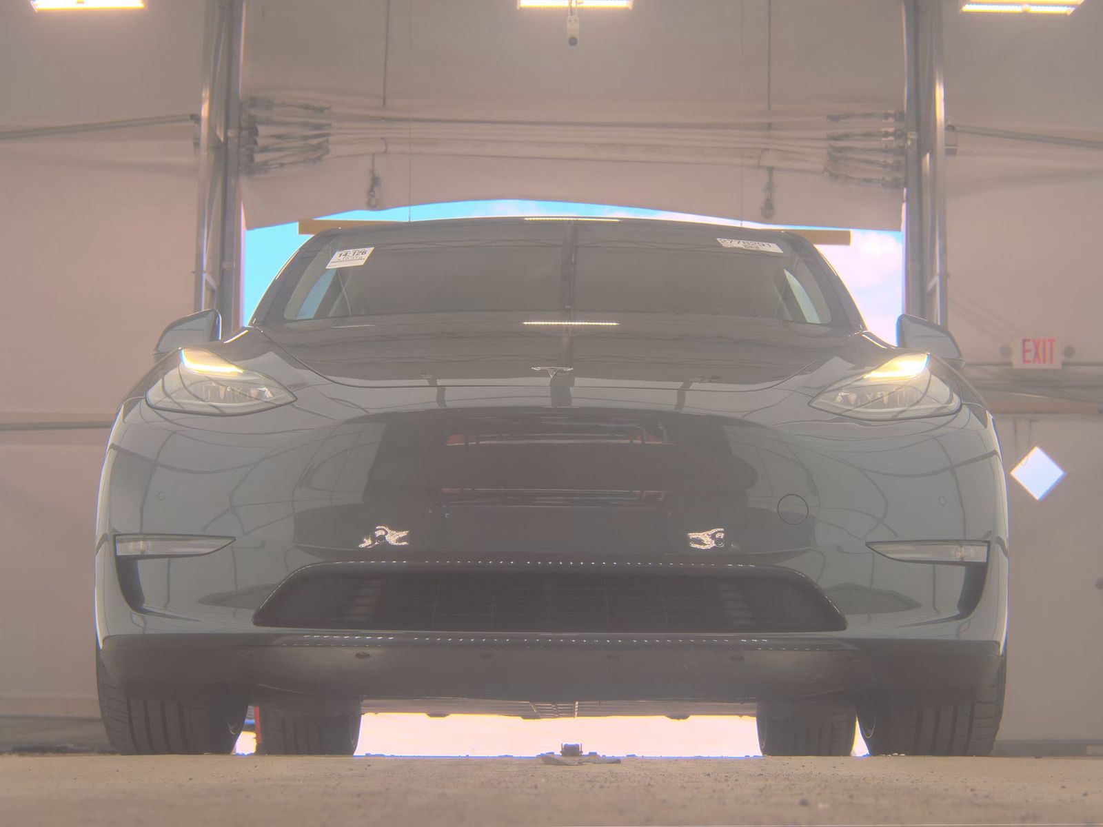 TESLA MODEL Y - 4
