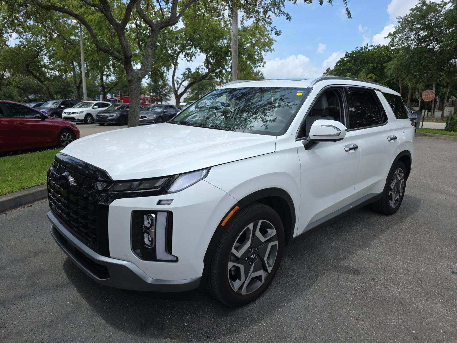 HYUNDAI PALISADE - 1