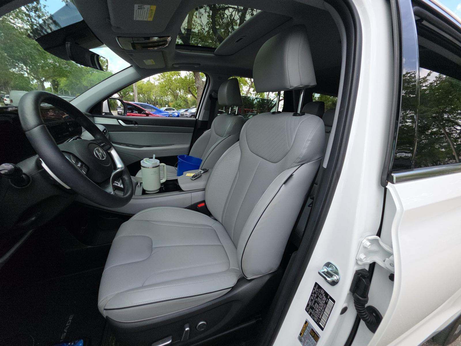HYUNDAI PALISADE - 5