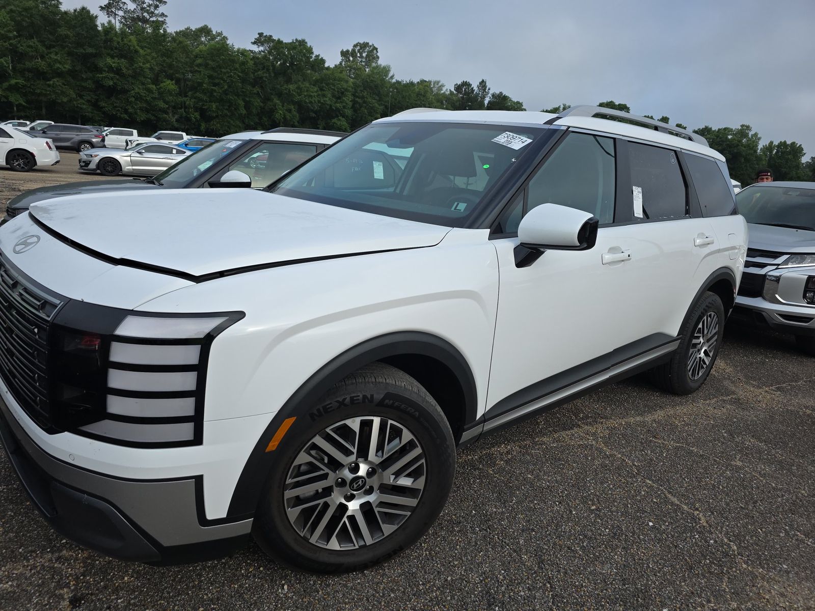 HYUNDAI PALISADE - 1
