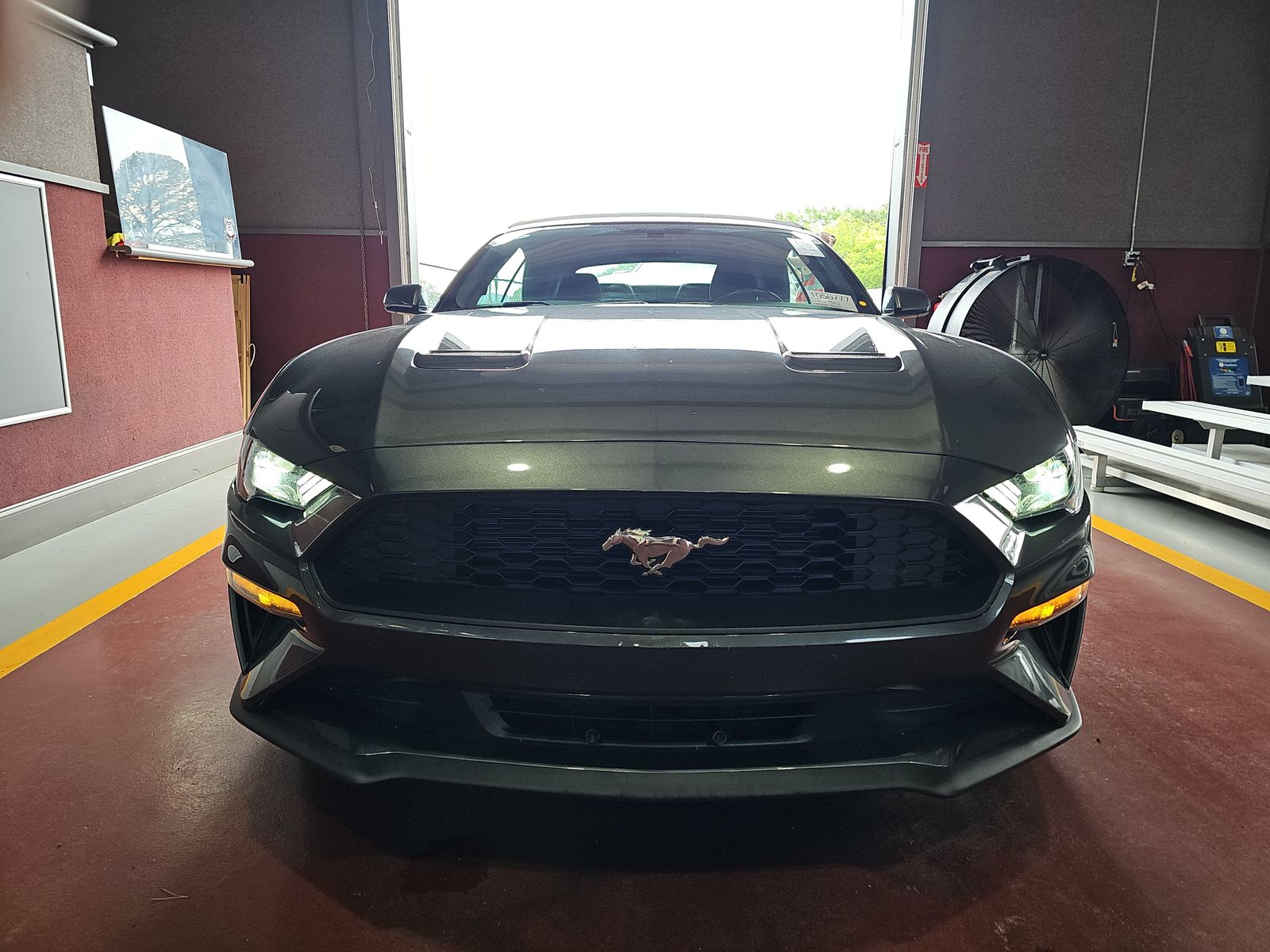 FORD MUSTANG - 3