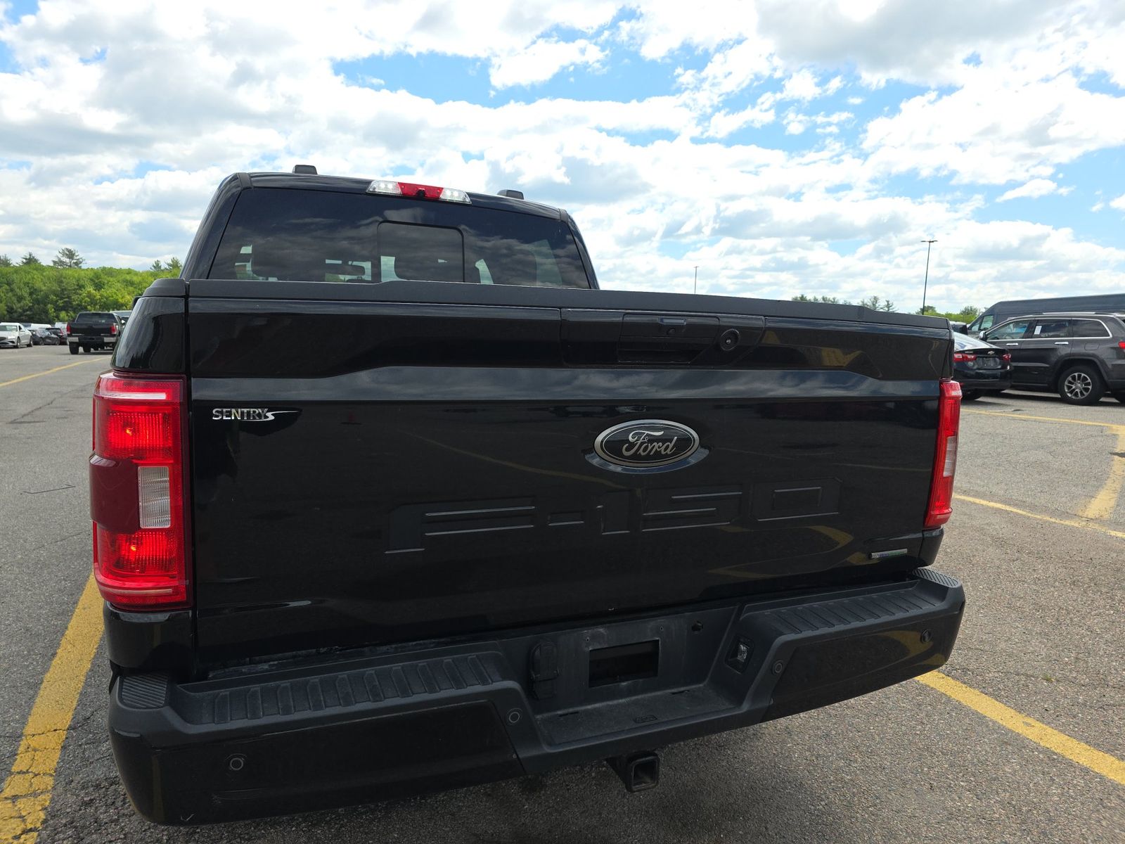FORD F-150 - 6