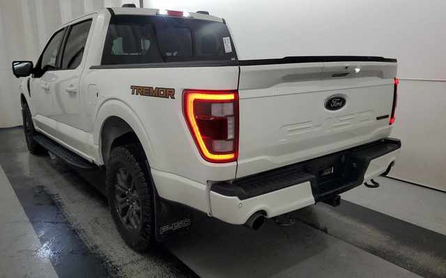 FORD F-150 - 3